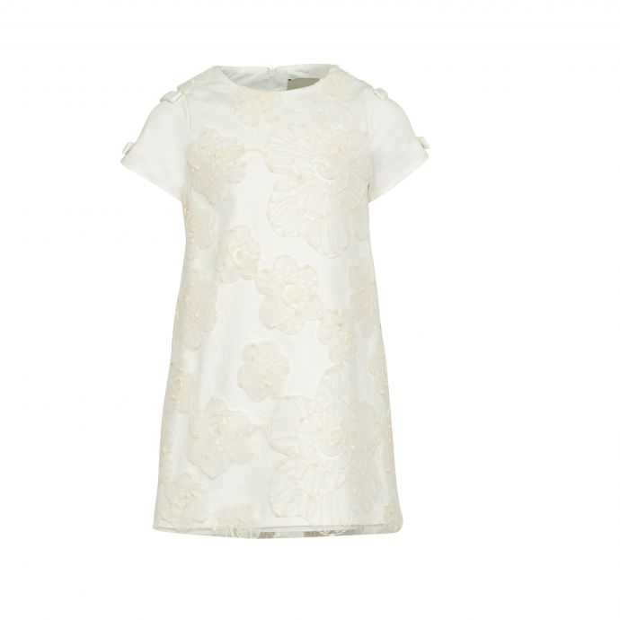 Trapeze embroidered lace dress