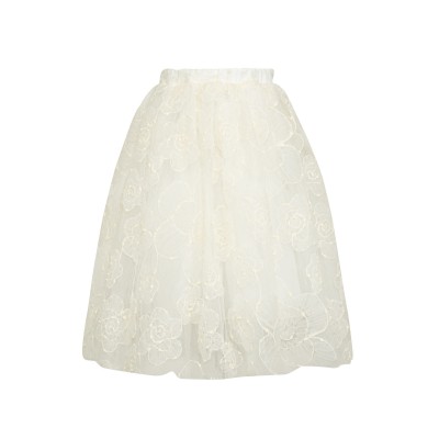 Lace skirt embroidered