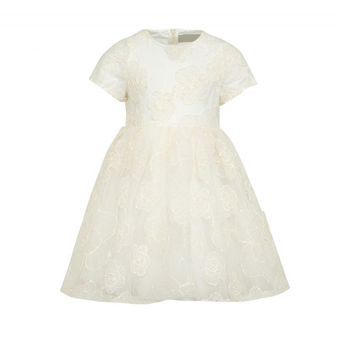 Embroidered lace dress